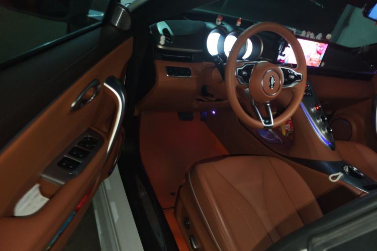 Used ORA Lightning Cat 2022 555 km Luxury Edition Interior 3