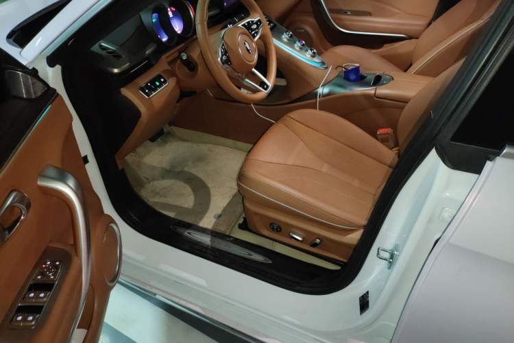 Used ORA Lightning Cat 2022 555 km Luxury Edition Interior 3