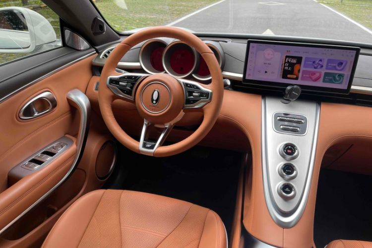 Used ORA Lightning Cat 2022 555 km Luxury Edition Interior 3