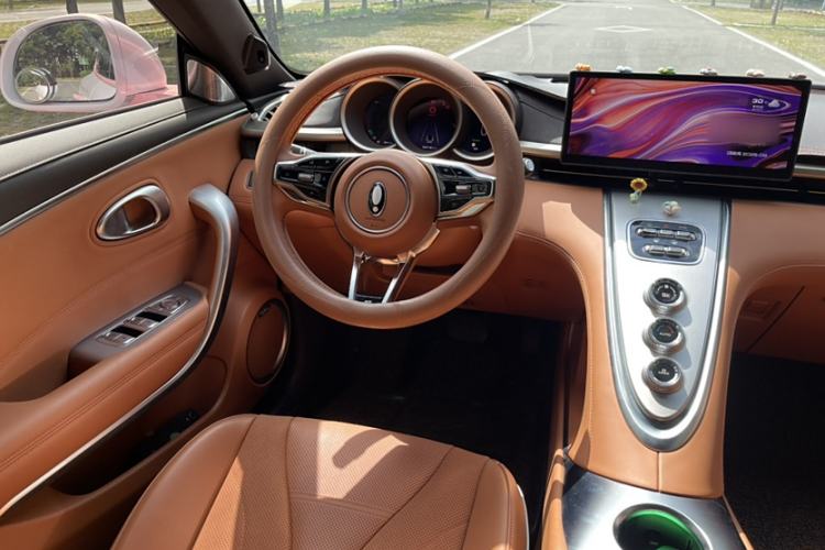 Used ORA Lightning Cat 2022 555 km Luxury Edition Interior 3