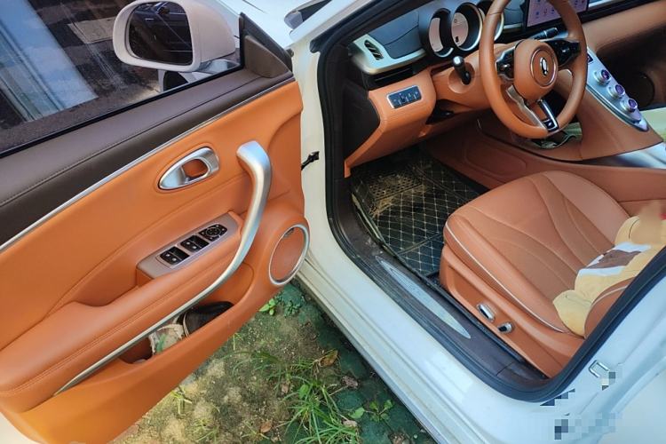 Used ORA Lightning Cat 2022 555 km Luxury Edition Interior 3