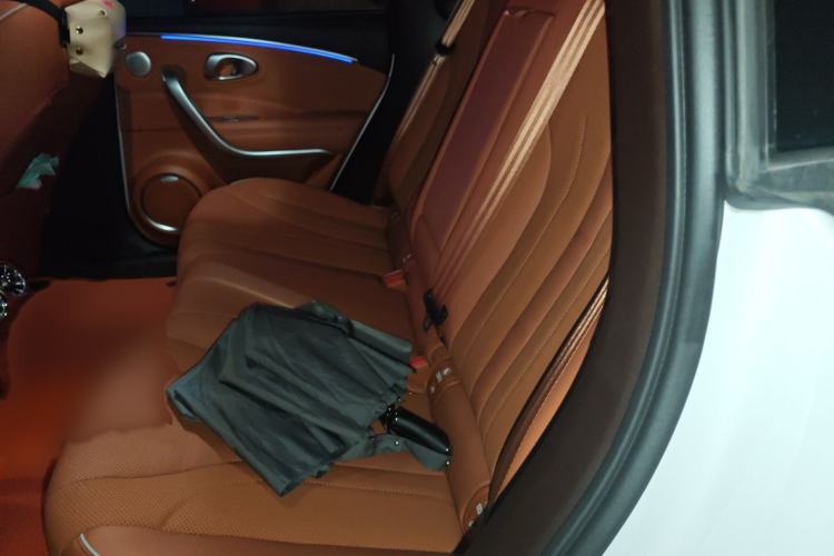 Used ORA Lightning Cat 2022 555 km Luxury Edition Interior 4
