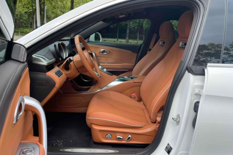 Used ORA Lightning Cat 2022 555 km Luxury Edition Interior 4
