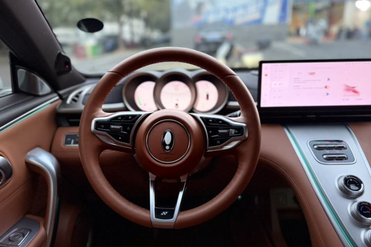 Used ORA Lightning Cat 2022 555 km Luxury Edition Interior 5