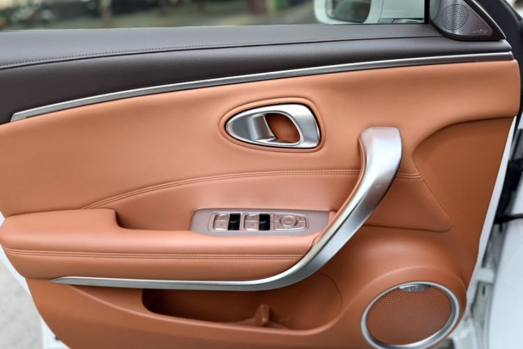 Used ORA Lightning Cat 2022 555 km Luxury Edition Interior 7