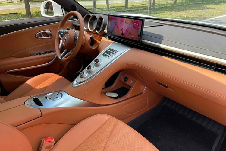 Used ORA Lightning Cat 2022 555 km Luxury Edition Interior 8