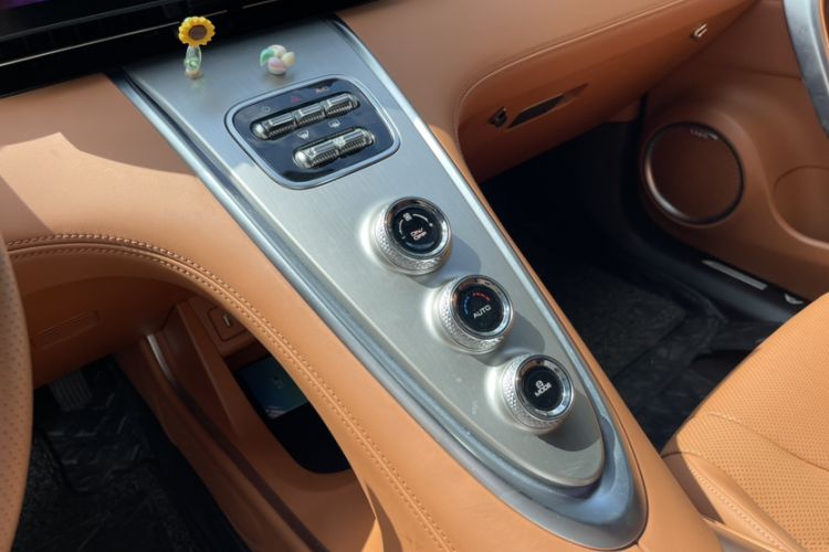 Used ORA Lightning Cat 2022 555 km Luxury Edition Interior 8