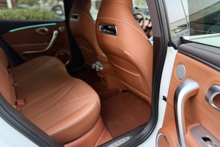 Used ORA Lightning Cat 2022 555 km Luxury Edition Interior 8