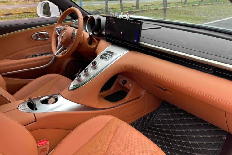 Used ORA Lightning Cat 2022 555 km Luxury Edition Interior 9