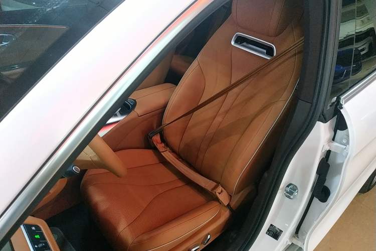 Used ORA Lightning Cat 2022 555 km Luxury Edition Left Front Seat