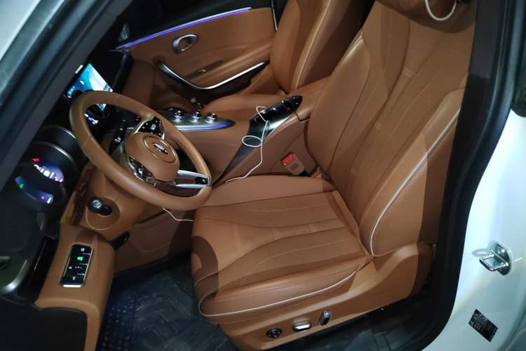 Used ORA Lightning Cat 2022 555 km Luxury Edition Left Front Seat