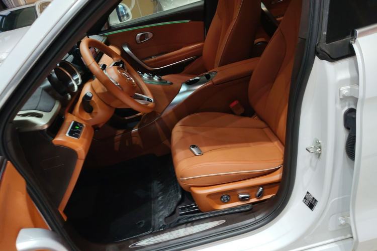 Used ORA Lightning Cat 2022 555 km Luxury Edition Left Front Seat