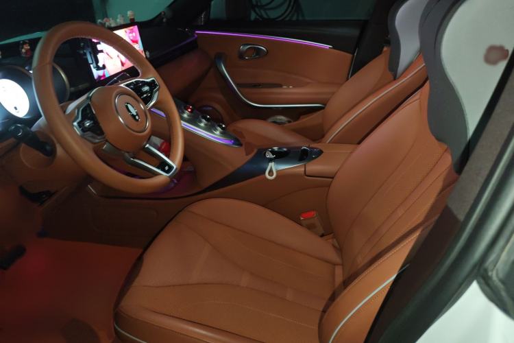 Used ORA Lightning Cat 2022 555 km Luxury Edition Left Front Seat