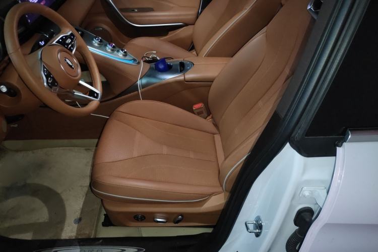 Used ORA Lightning Cat 2022 555 km Luxury Edition Left Front Seat