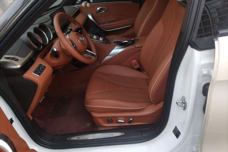 Used ORA Lightning Cat 2022 555 km Luxury Edition Left Front Seat