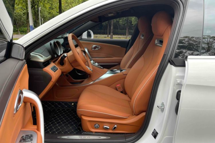 Used ORA Lightning Cat 2022 555 km Luxury Edition Left Front Seat