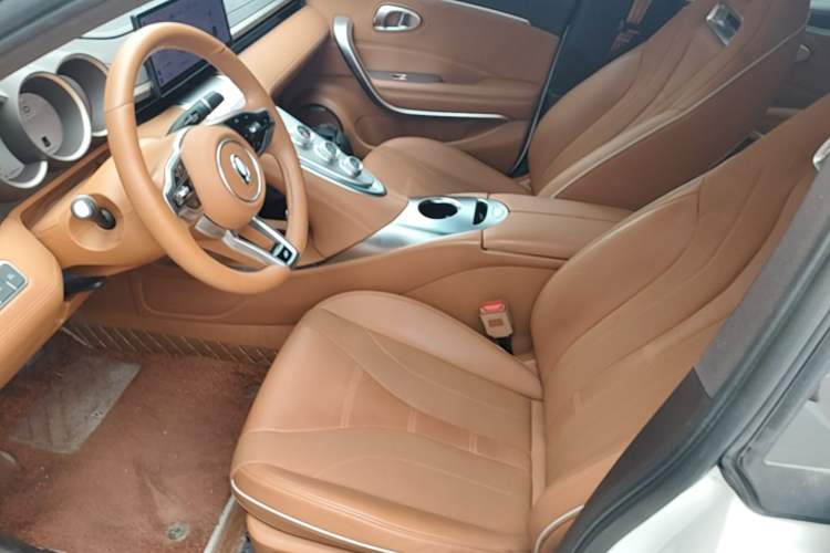 Used ORA Lightning Cat 2022 555 km Luxury Edition Left Front Seat