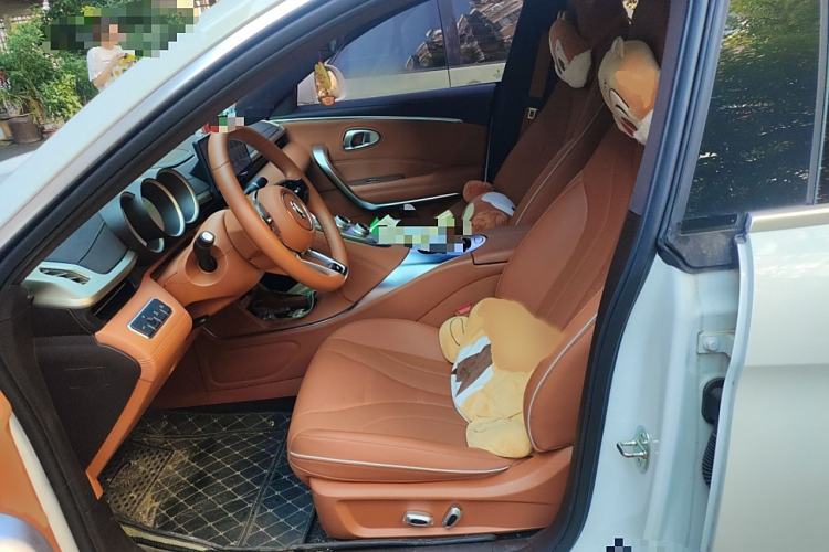Used ORA Lightning Cat 2022 555 km Luxury Edition Left Front Seat