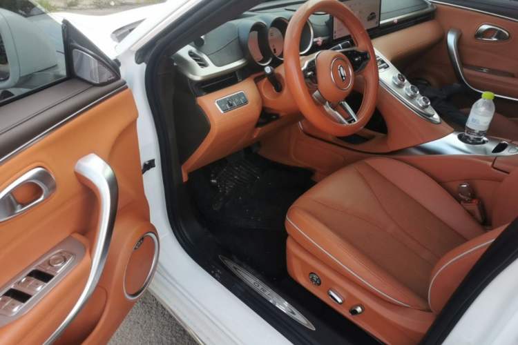 Used ORA Lightning Cat 2022 555 km Luxury Edition Left Front Seat