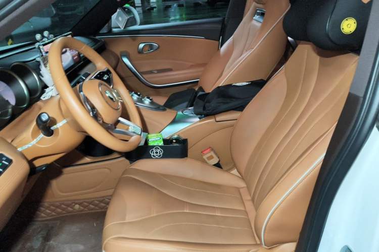 Used ORA Lightning Cat 2022 555 km Luxury Edition Left Front Seat