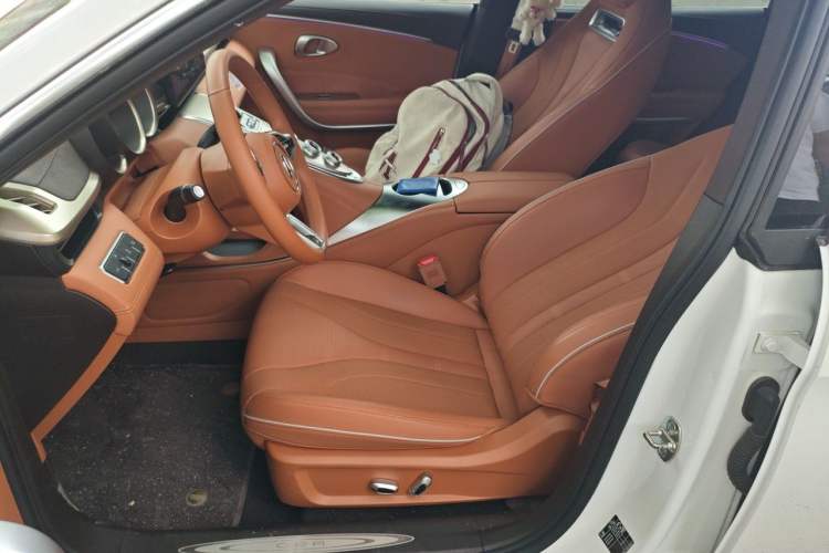 Used ORA Lightning Cat 2022 555 km Luxury Edition Left Front Seat