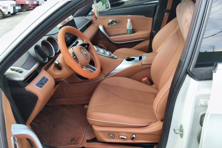 Used ORA Lightning Cat 2022 555 km Luxury Edition Left Front Seat