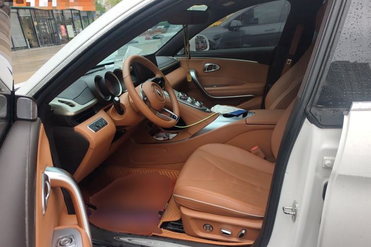 Used ORA Lightning Cat 2022 555 km Luxury Edition Left Front Seat