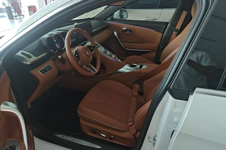 Used ORA Lightning Cat 2022 555 km Luxury Edition Left Front Seat