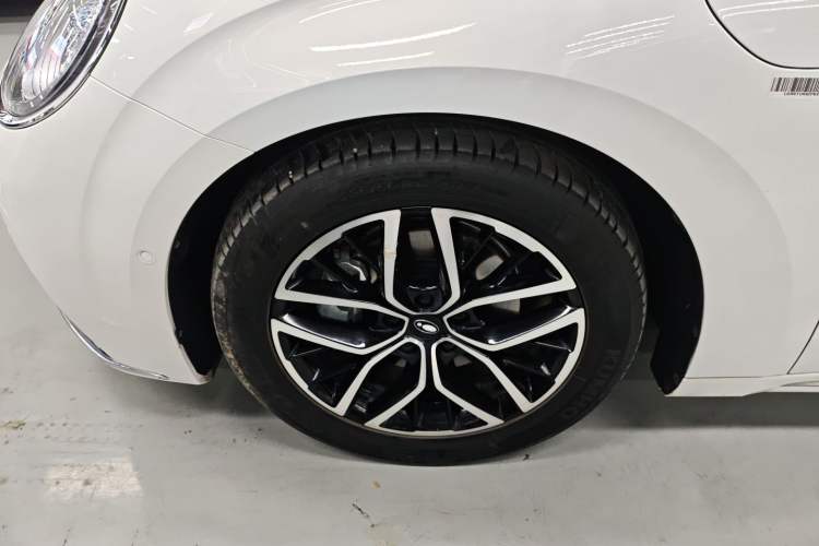 Used ORA Lightning Cat 2022 555 km Luxury Edition Left Front Wheel Hub