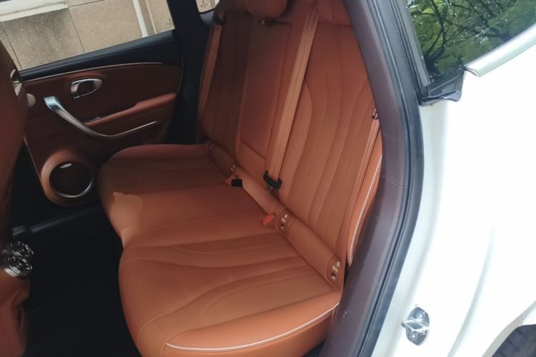 Used ORA Lightning Cat 2022 555 km Luxury Edition Left Rear Seat