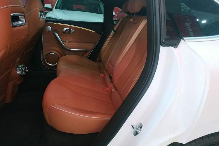 Used ORA Lightning Cat 2022 555 km Luxury Edition Left Rear Seat