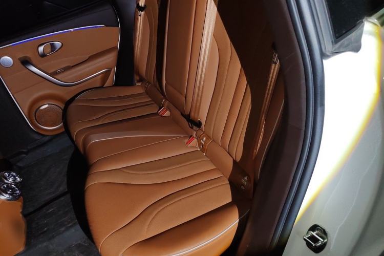 Used ORA Lightning Cat 2022 555 km Luxury Edition Left Rear Seat