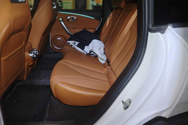 Used ORA Lightning Cat 2022 555 km Luxury Edition Left Rear Seat