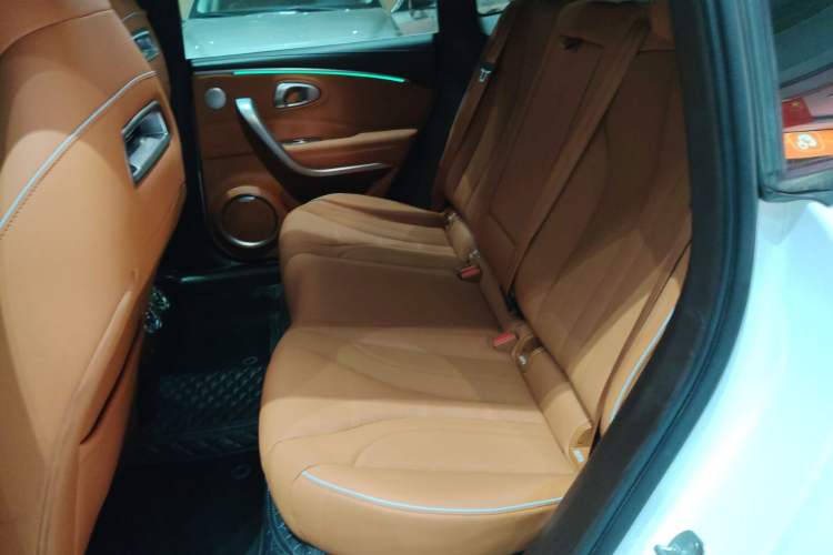 Used ORA Lightning Cat 2022 555 km Luxury Edition Left Rear Seat