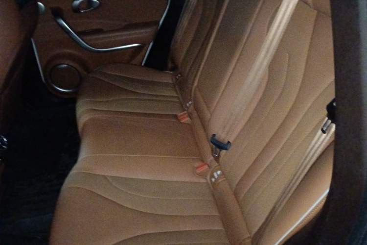 Used ORA Lightning Cat 2022 600 km All-Wheel Drive High-Performance Version Left Rear Seat