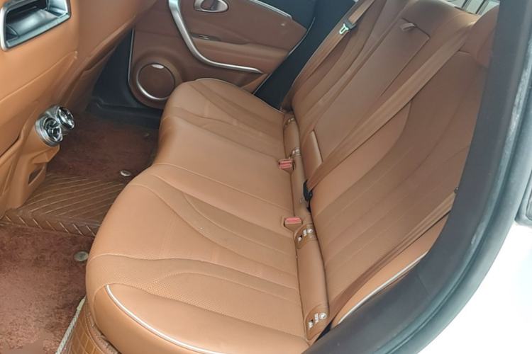 Used ORA Lightning Cat 2022 555 km Luxury Edition Left Rear Seat