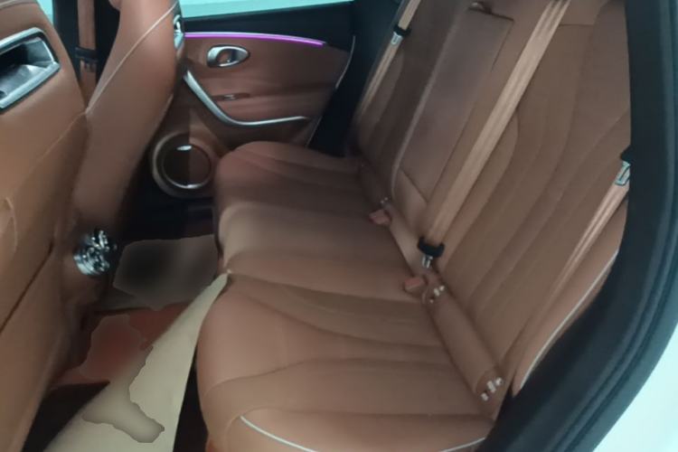 Used ORA Lightning Cat 2022 555 km Luxury Edition Left Rear Seat