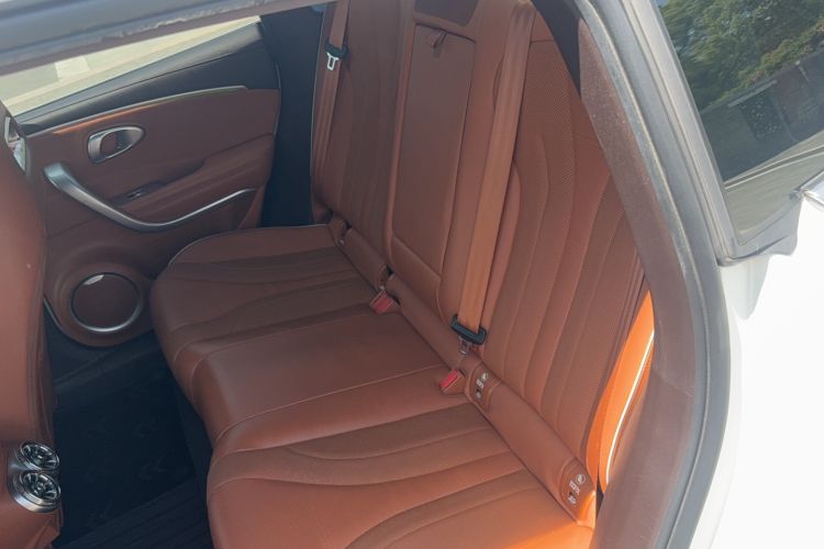 Used ORA Lightning Cat 2022 555 km Luxury Edition Left Rear Seat