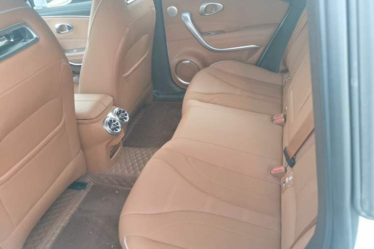 Used ORA Lightning Cat 2022 555 km Luxury Edition Left Rear Seat