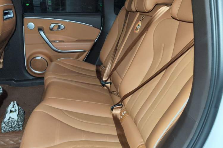 Used ORA Lightning Cat 2022 555 km Luxury Edition Left Rear Seat