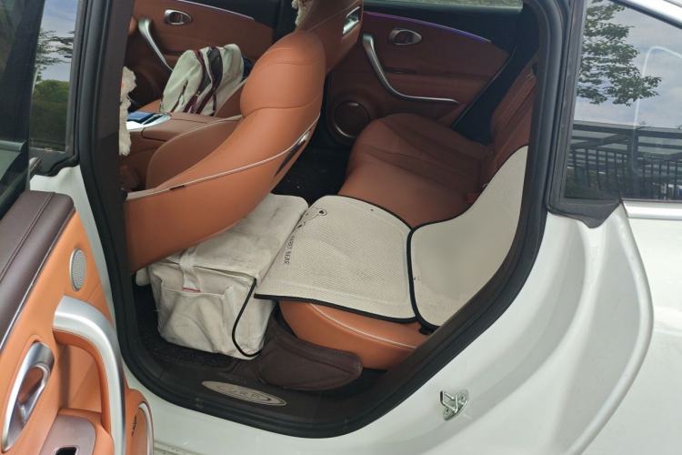 Used ORA Lightning Cat 2022 555 km Luxury Edition Left Rear Seat