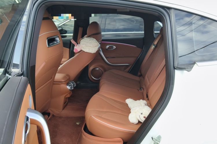 Used ORA Lightning Cat 2022 555 km Luxury Edition Left Rear Seat