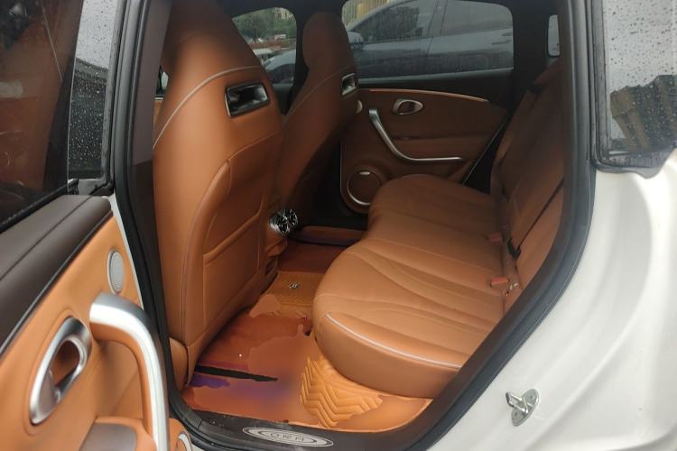 Used ORA Lightning Cat 2022 555 km Luxury Edition Left Rear Seat