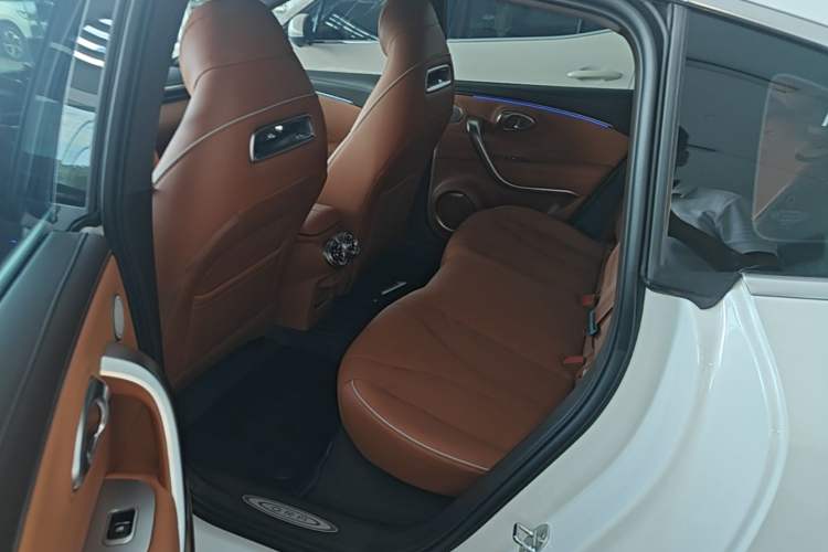 Used ORA Lightning Cat 2022 555 km Luxury Edition Left Rear Seat