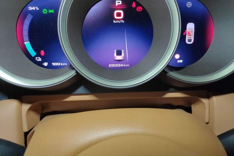 Used ORA Lightning Cat 2022 555 km Luxury Edition Odometer Close Up