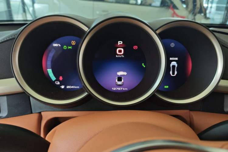 Used ORA Lightning Cat 2022 555 km Luxury Edition Odometer Close Up