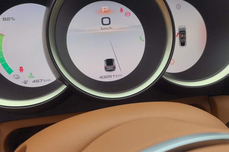 Used ORA Lightning Cat 2022 555 km Luxury Edition Odometer Close Up