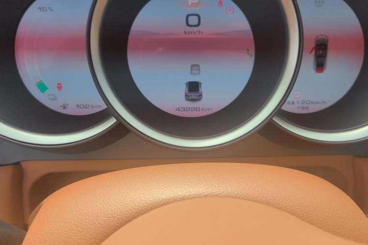 Used ORA Lightning Cat 2022 555 km Luxury Edition Odometer Close Up