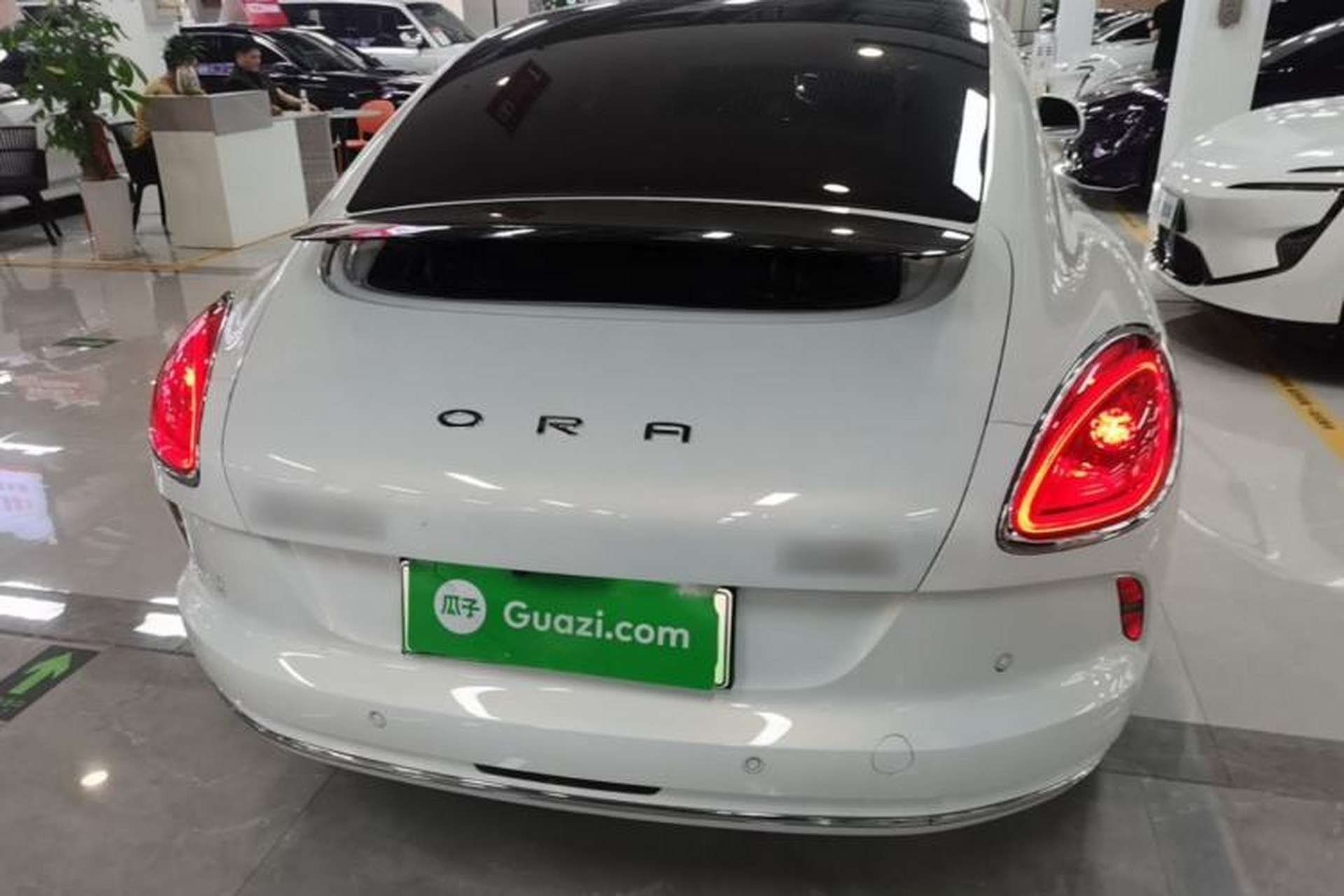Used ORA Lightning Cat 2022 555 km Luxury Edition Rear