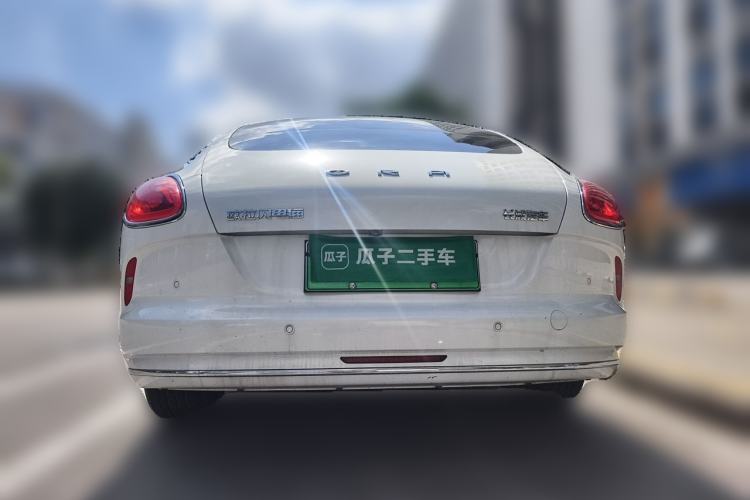 Used ORA Lightning Cat 2022 555 km Luxury Edition Rear